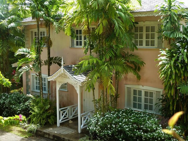 Jacaranda Outside View