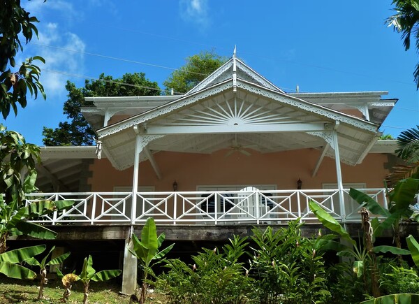 Jacaranda View from Outside
