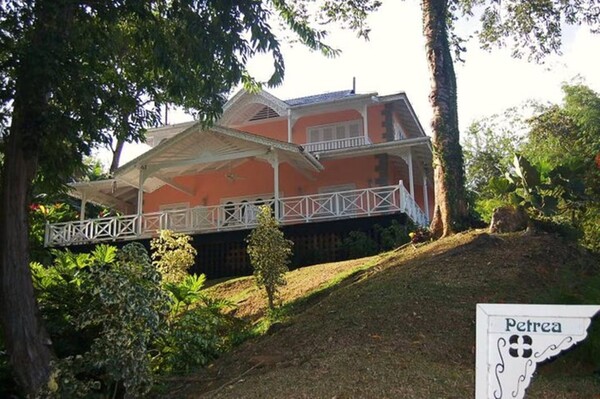 Oleanda from Outside