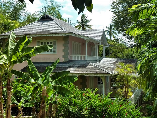 Oleanda from Outside