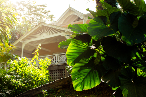 Where classic architecture meets nature