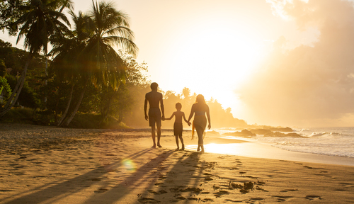 Perfect family escape