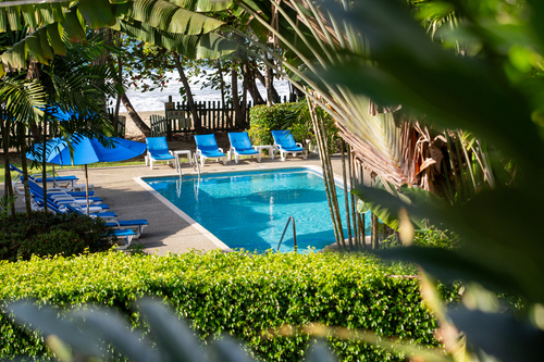 View of the pool area