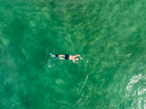 Snorkelling Stonehaven Bay