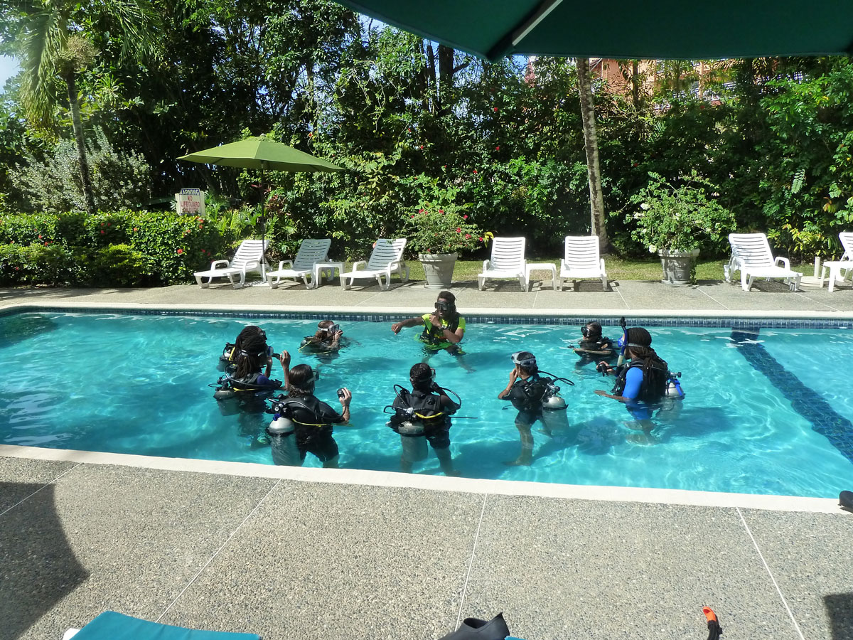 Diving courses in our pool can be organised for our guests